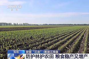 记者：当你许多比赛丢掉领先时？波波打断并幽默回应：什么时候？